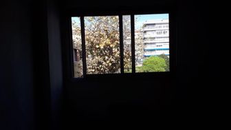 Photo n°7