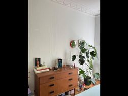 Photo n°5