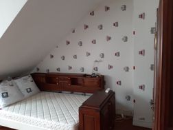 Photo n°2