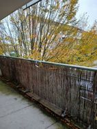 Photo n°6