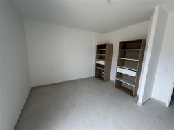 Photo n°7