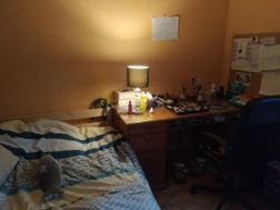 Photo n°4