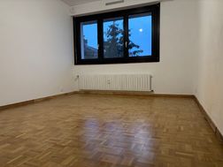 Photo n°8