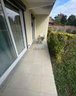 Photo n°4