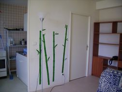 Photo n°3
