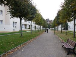 Photo n°5