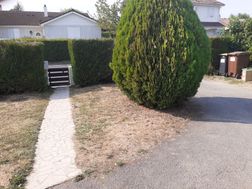 Photo n°1
