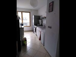 Photo n°15