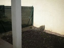 Photo n°3