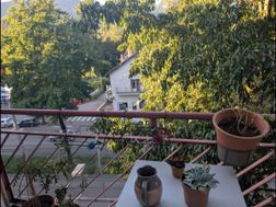 Photo n°5