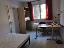 Photo n°4