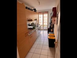 Photo n°6