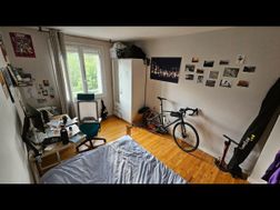 Photo n°5