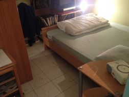Photo n°4