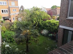 Photo n°2