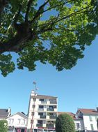 Photo n°4
