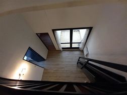 Photo n°4