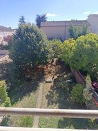 Photo n°1