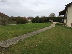 Photo n°6