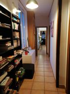 Photo n°1