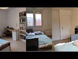 Photo n°2