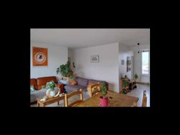 Photo n°3