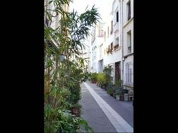 Photo n°1