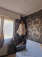 Photo n°6