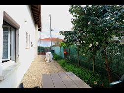Photo n°4