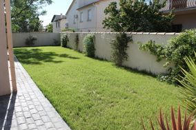 Photo n°2