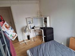 Photo n°2