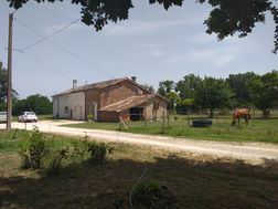 Photo n°5