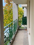 Photo n°6