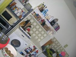 Photo n°8