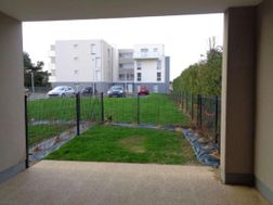 Photo n°6