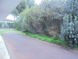 Photo n°5