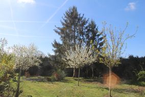 Photo n°2
