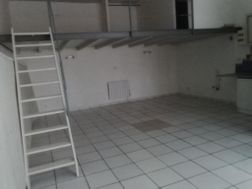 Photo n°1