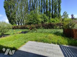 Photo n°3