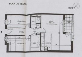 Photo n°5