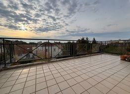 Photo n°6