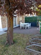 Photo n°6