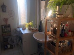 Photo n°3