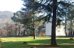Photo n°1