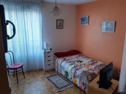 Photo n°6