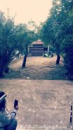 Photo n°1