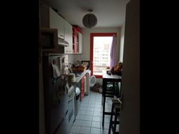 Photo n°2