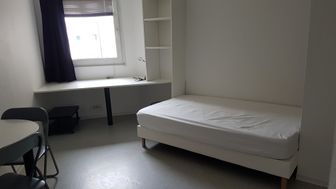 Photo n°1