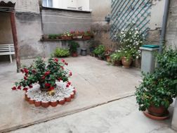 Photo n°5