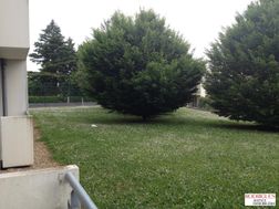 Photo n°2